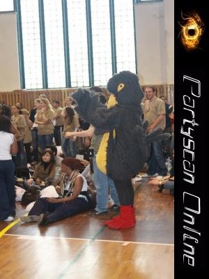 Nagytshoz kattints a kpre!